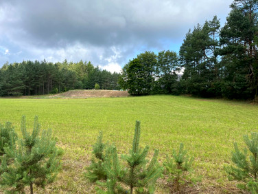 Działka inwestycyjna Kłobuczyno