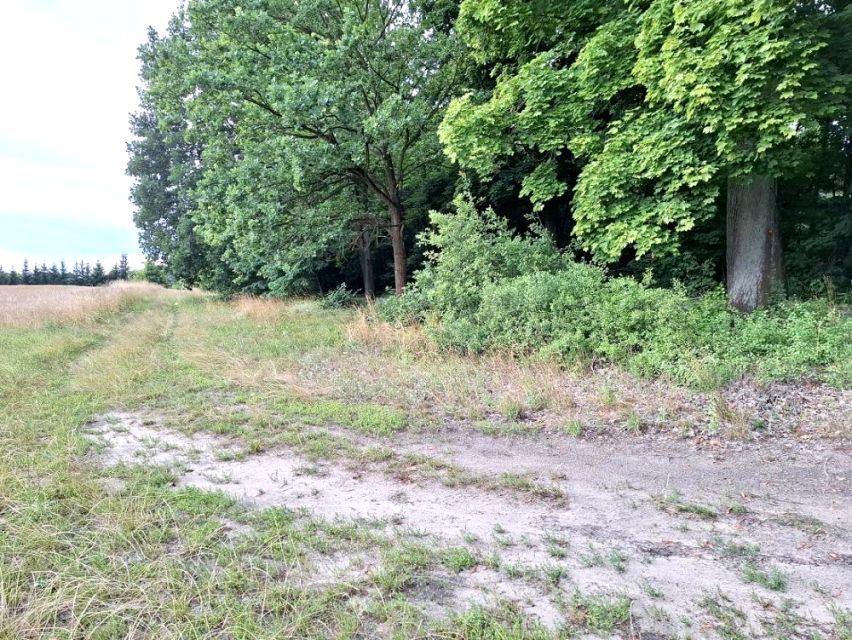 Działka Grzebienisko