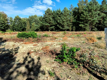 Działka budowlana Drawski Młyn