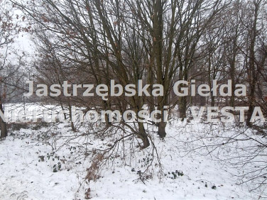 Działka usługowa Mszana