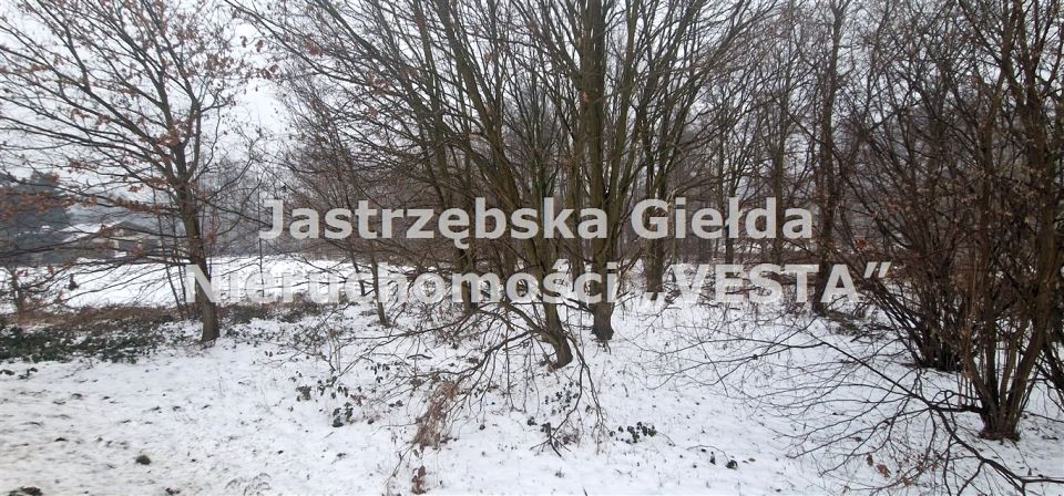 Działka usługowa Mszana