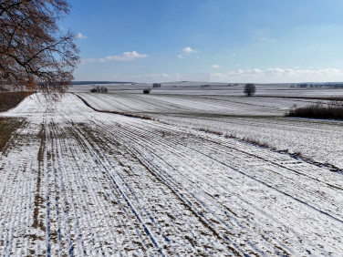 Działka budowlana Jabłonna Pierwsza