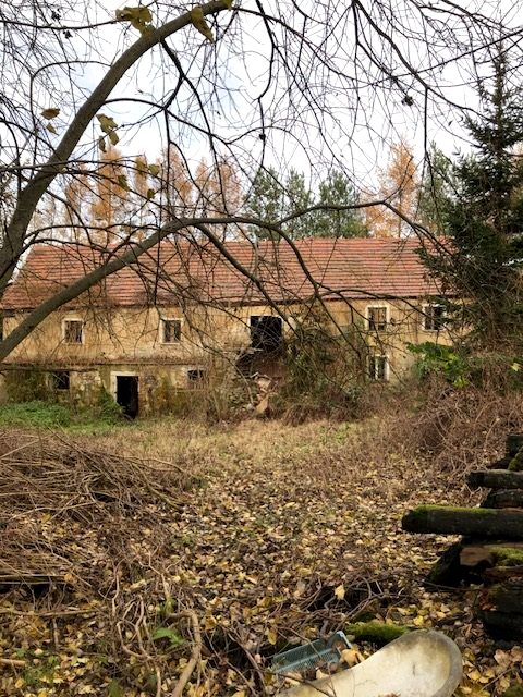 Dom Zalipie sprzedaż