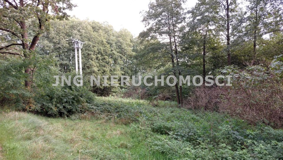 Działka budowlana Pąchy