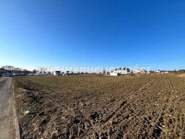 Działka budowlana Skrzynki