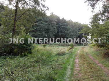 Działka budowlana Pąchy