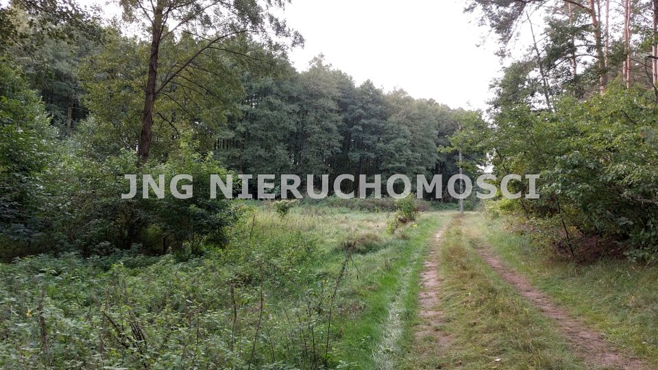 Działka budowlana Pąchy