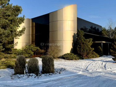 Lokal Toruń sprzedaż