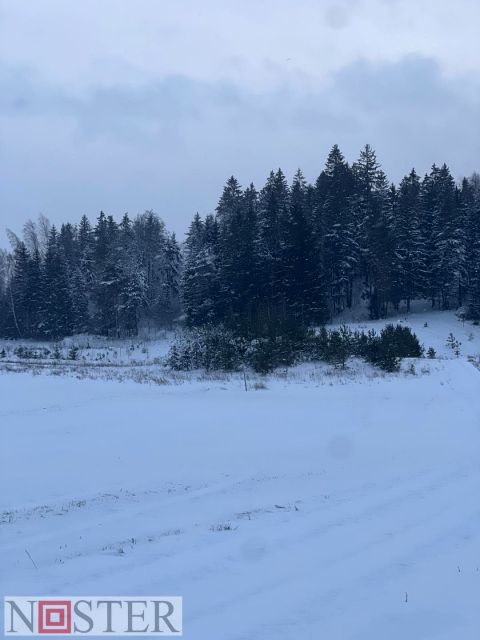 Działka siedliskowa Węgielnia