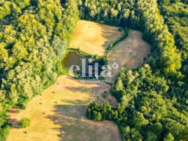Działka budowlana Rogowo