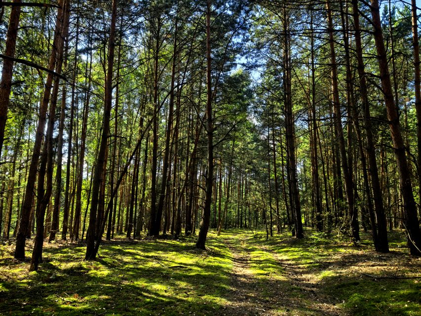 Działka budowlana Klizin