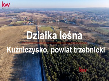 Działka leśna Kuźniczysko