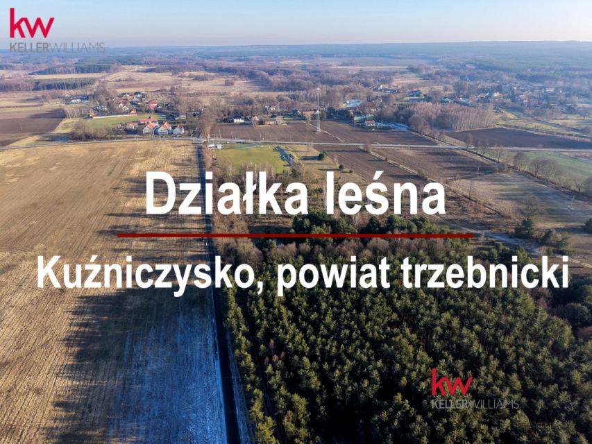 Działka leśna Kuźniczysko