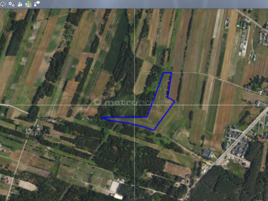 Działka rolna Stary Kraszew