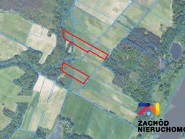 Działka leśna Dąbrowa