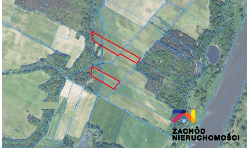 Działka leśna Dąbrowa