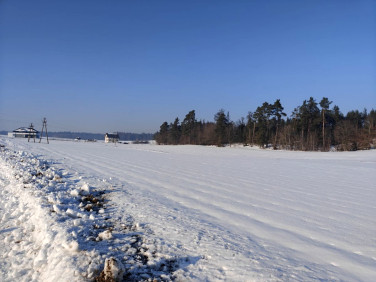 Działka siedliskowa Bukowina