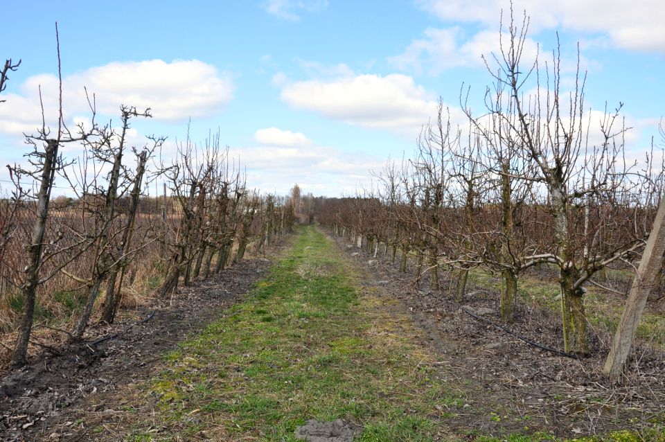 Działka budowlana Sierosław