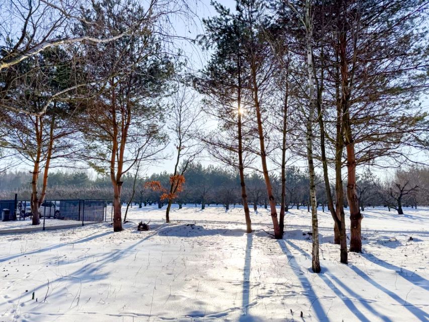 Działka budowlana Zaręby