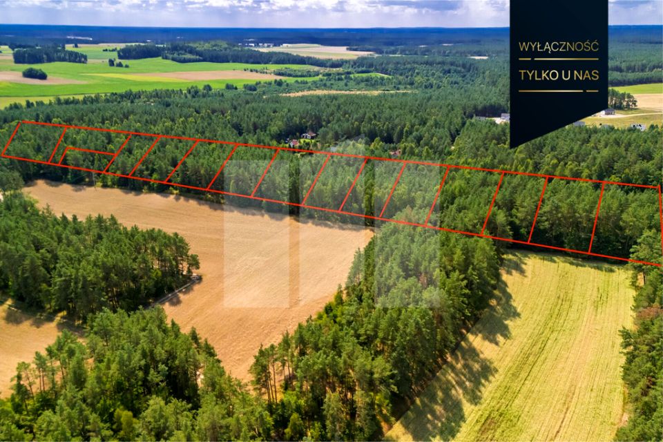 Działka budowlana Niesiołowice