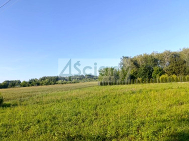 Działka budowlana sprzedam