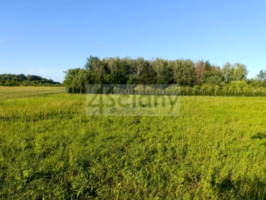 Działka budowlana Jastrzębie