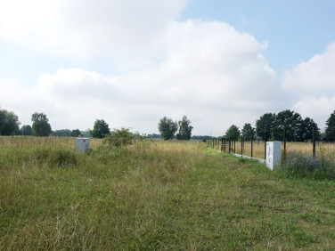 Działka budowlana Mikoszewo