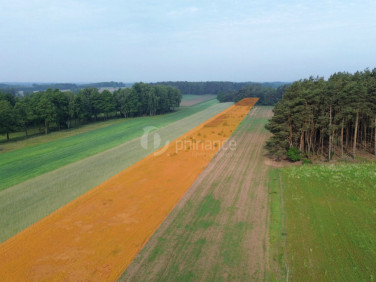 Działka siedliskowa Kępina