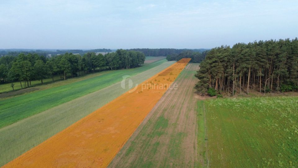 Działka siedliskowa Kępina