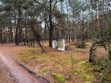 Działka nad jeziorem