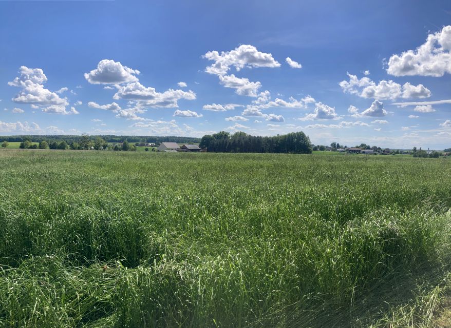 Działka budowlana Wilkowiczki