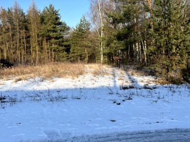 Działka budowlana Częstochowa