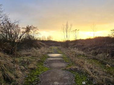 Działka usługowa Wysoka