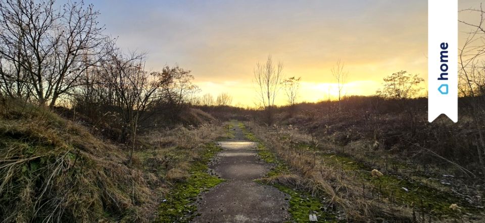 Działka usługowa Wysoka