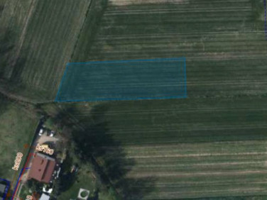 Działka rolna Rybnik