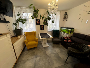 Mieszkanie Lewin Brzeski