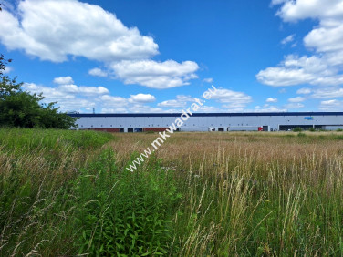 Działka usługowa Sokołów