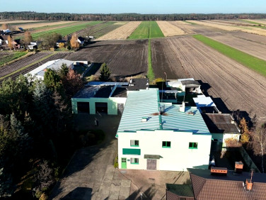 Budynek użytkowy Zbiersk sprzedaż