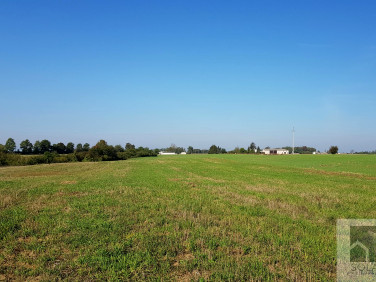 Działka budowlana Gościeradz