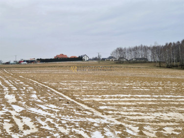 Pusta działka Dębno