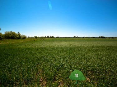 Działka budowlana Rączna