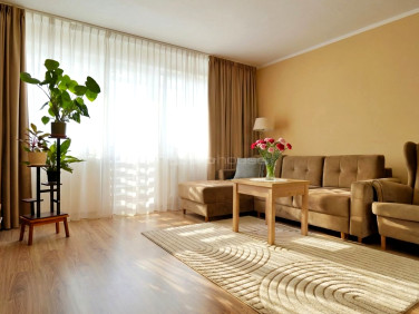 Mieszkanie Stargard sprzedaż