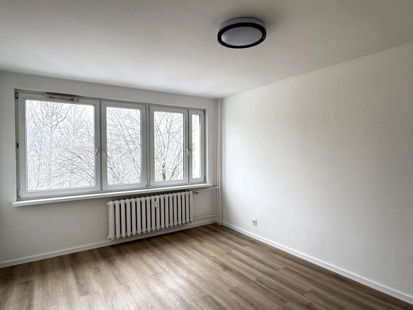 Zdjęcie 3