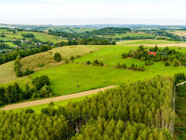Działka Krużlowa Wyżna