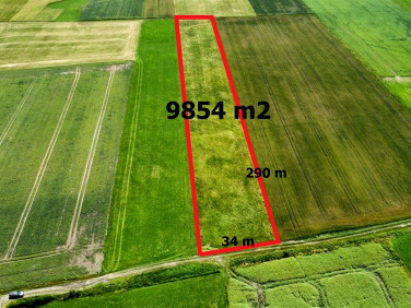 Działka siedliskowa Woźniki