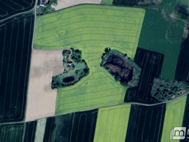 Działka rolna Boleszkowice