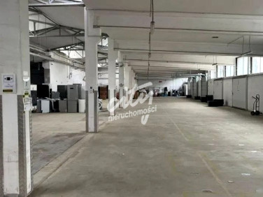 Budynek użytkowy Szczecin