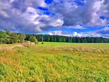 Działka rolno-leśna Karlików