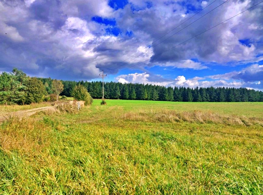 Działka rolno-leśna Karlików