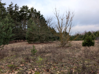 Działka budowlana Krubin